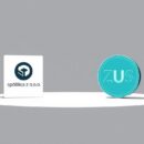 spółka z o.o. a zus