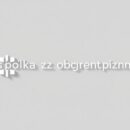 spółka z o.o. cudzoziemiec