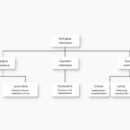 spółka z o.o. organy